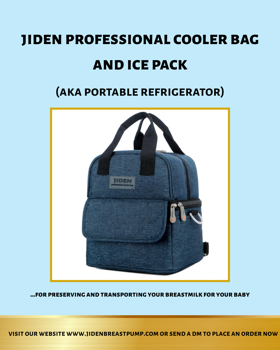 IMG_2019 Cooler bag and Ice pack AKA portable refrigerator - Image 1